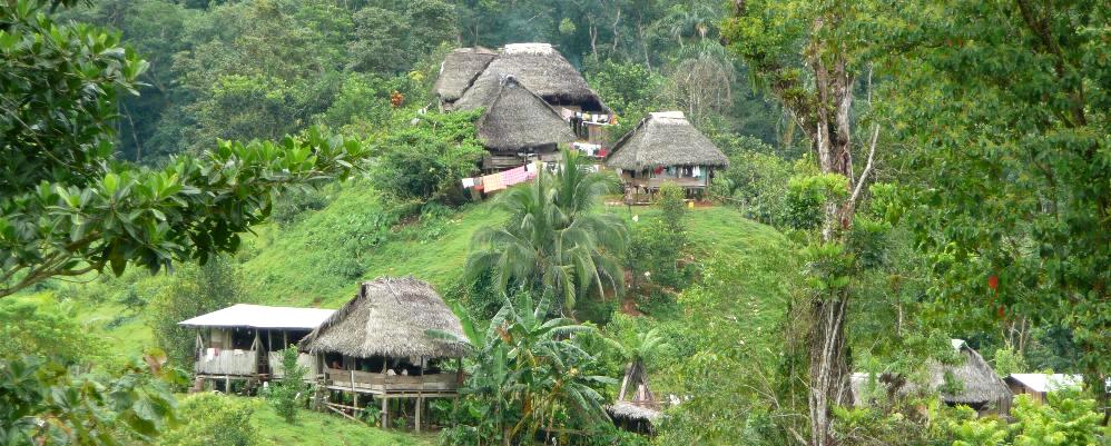 sightseeing / transfer tour from Boquete to Bocas del Toro. Chiricito, prov. Bocas del Toro, Panama