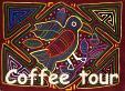 Kotowa coffee tourBoquete Panama