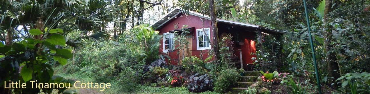 Little Tinamou Cottage