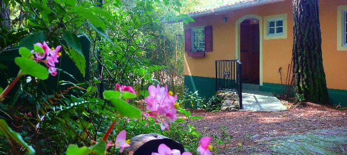 The Great Tinmou Cottage, Boquete Panama