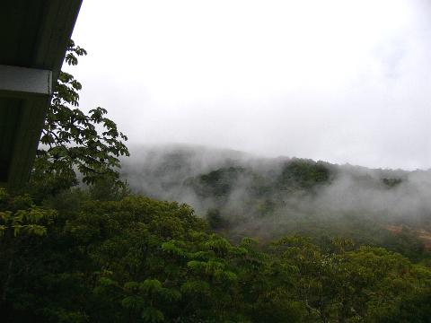 Clouds move in the Forest on the estate, view from the main house