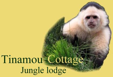 Logo Tinamou Cottage Boquete