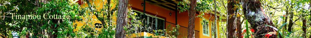 Tinamou Cottage Deluxe Jungle lodge Boquete Panama
